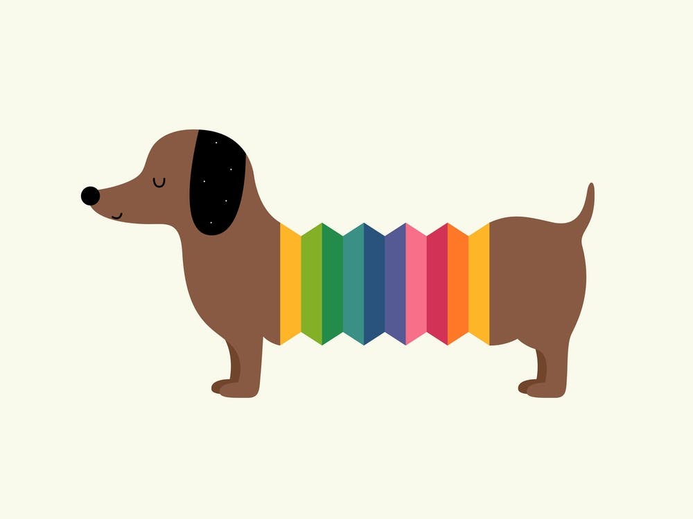 Rainbow Dooooog