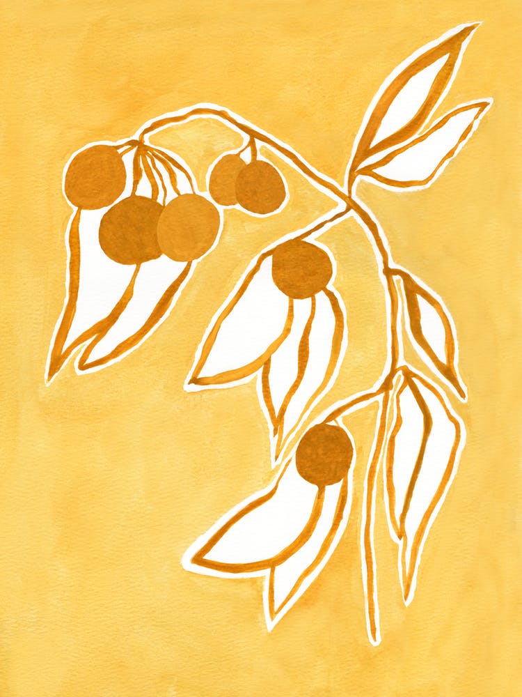 Apricots