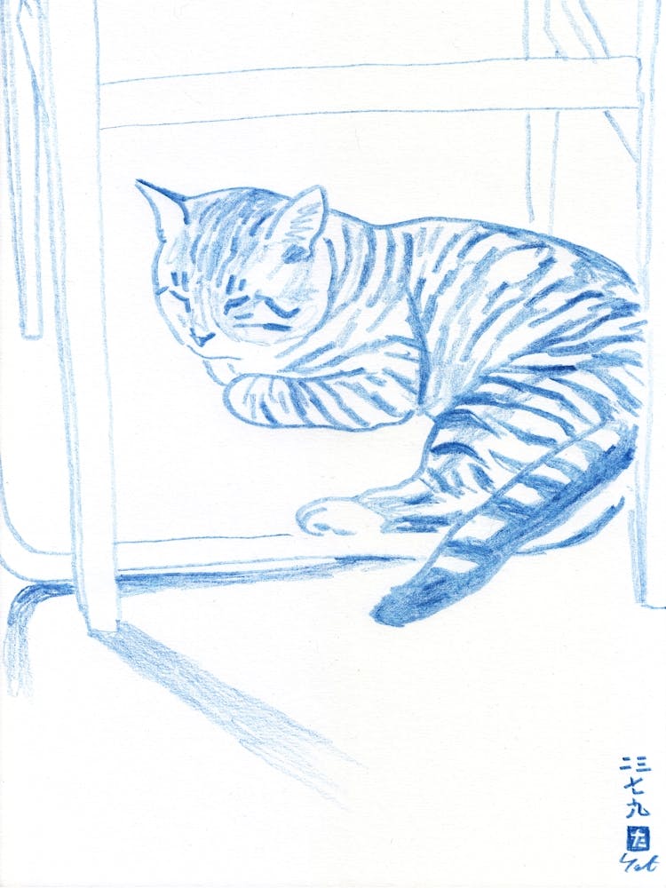 Chairo Under The Chair