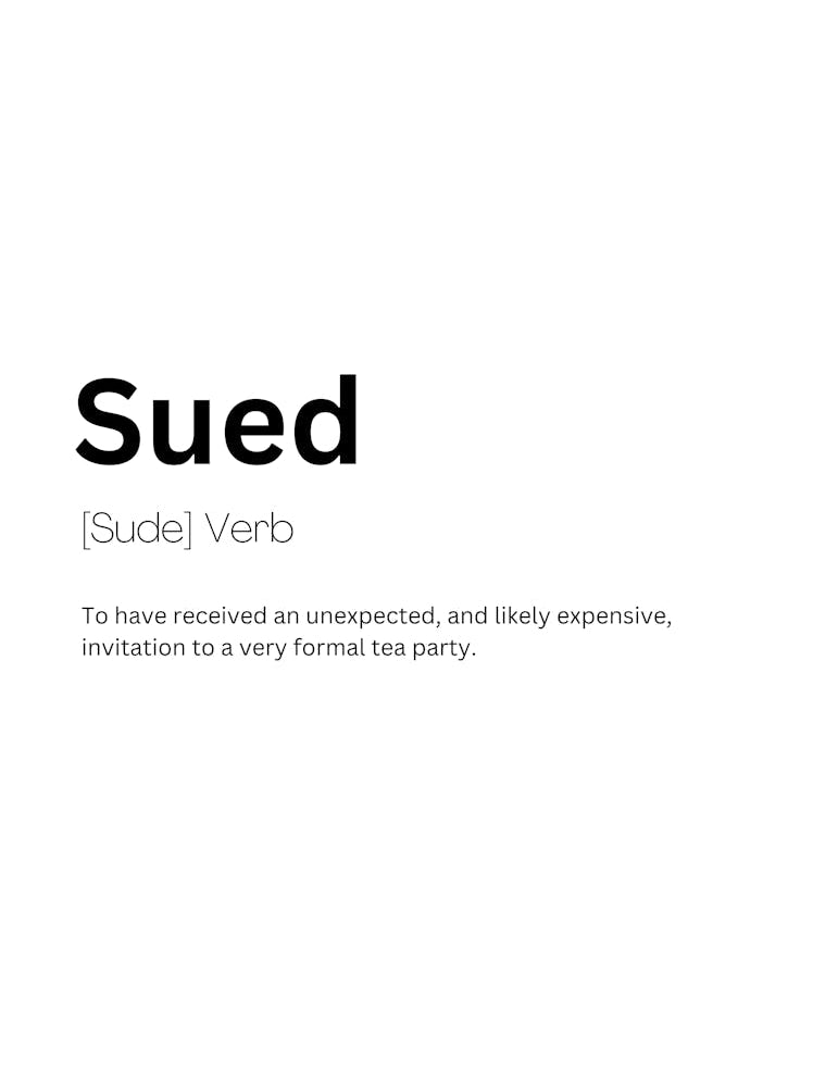 Sued Definition Meaning