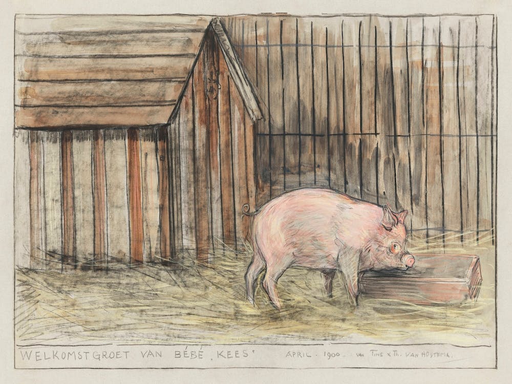 Pig In Front Of His Room Near A Trough (1900), Theo Van Hoytema