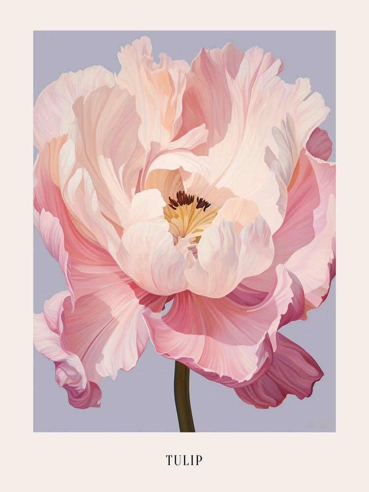 Floral Illustration Tulip 1 Poster