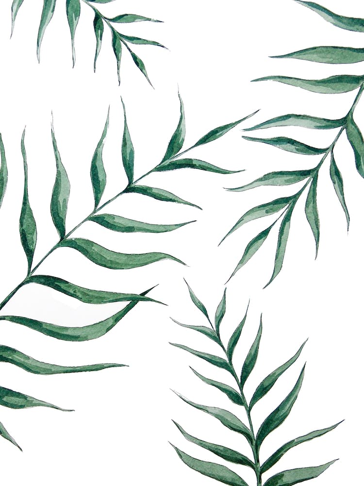 Botanical Watercolor Leaves