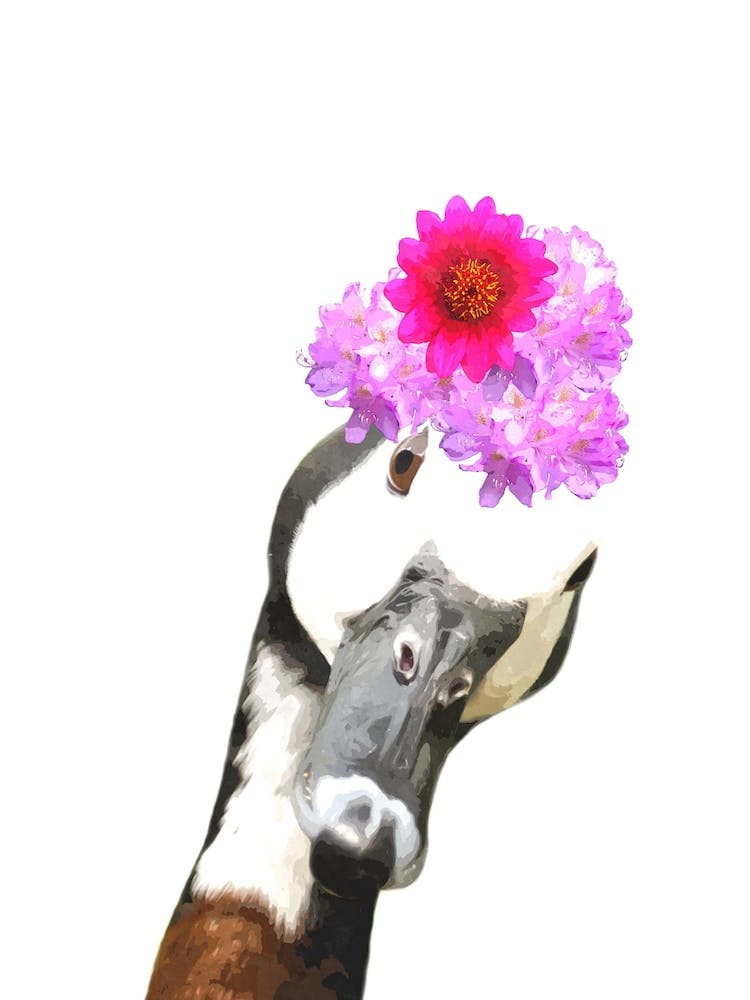 Cute Goose