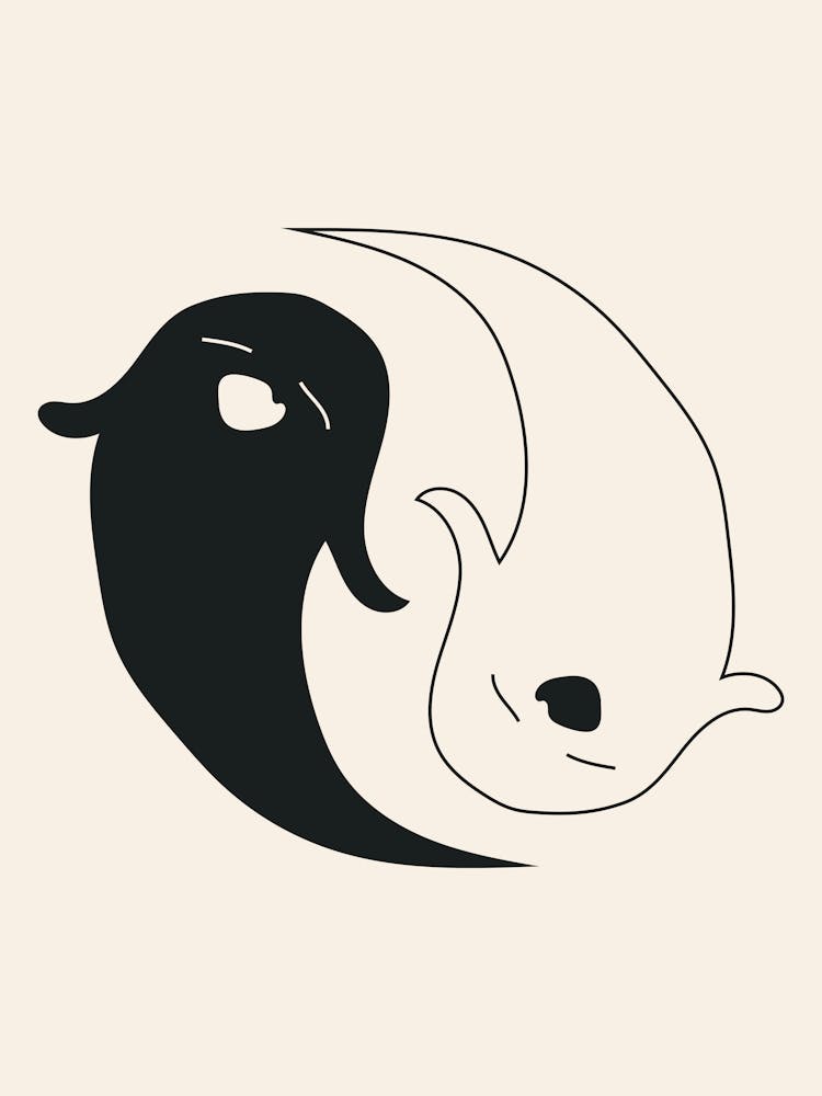 Yin Yang Fische Poster