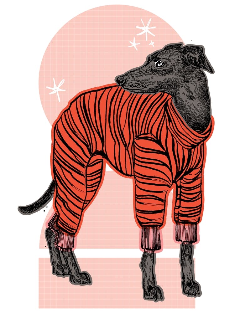 Windhund Pyjamas
