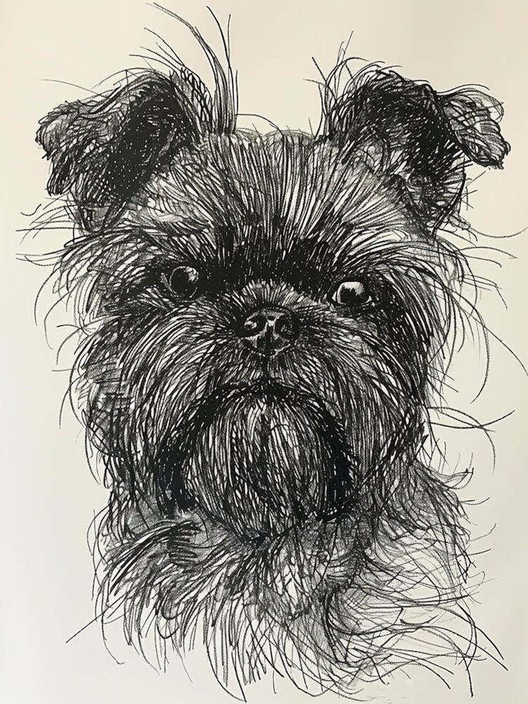 Affenpinscher Dog Line Sketch