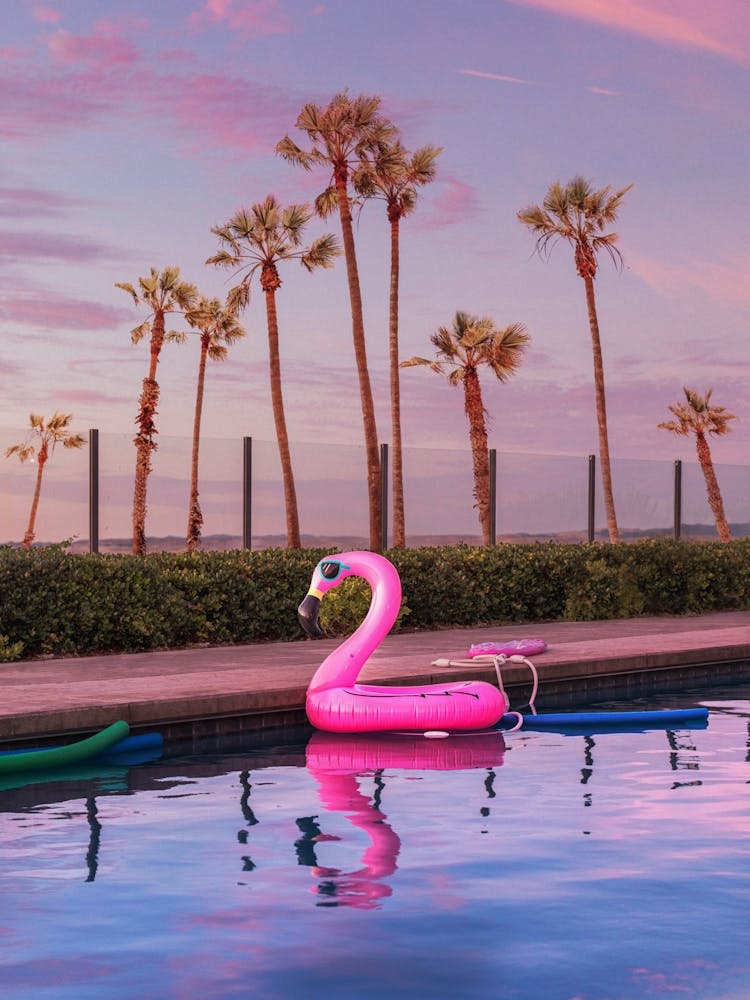 Pink Pool Flamingo