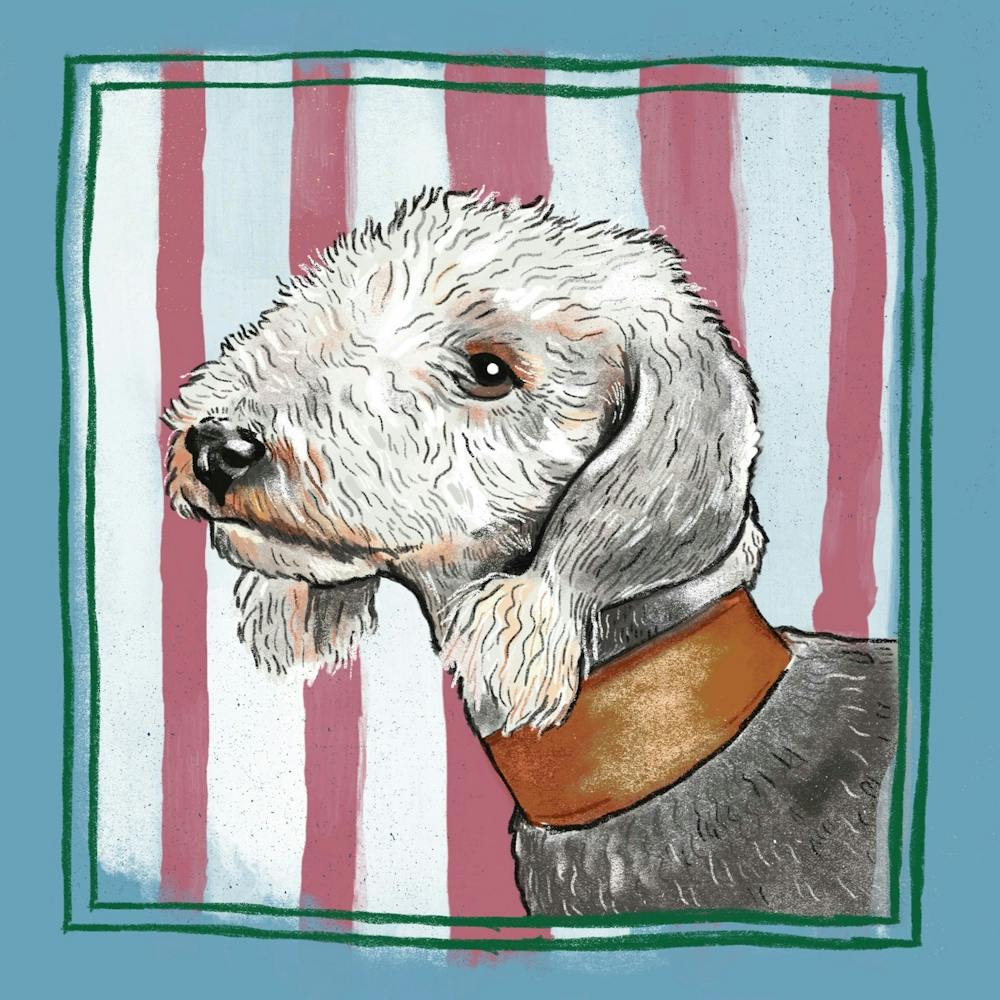 Bedlington