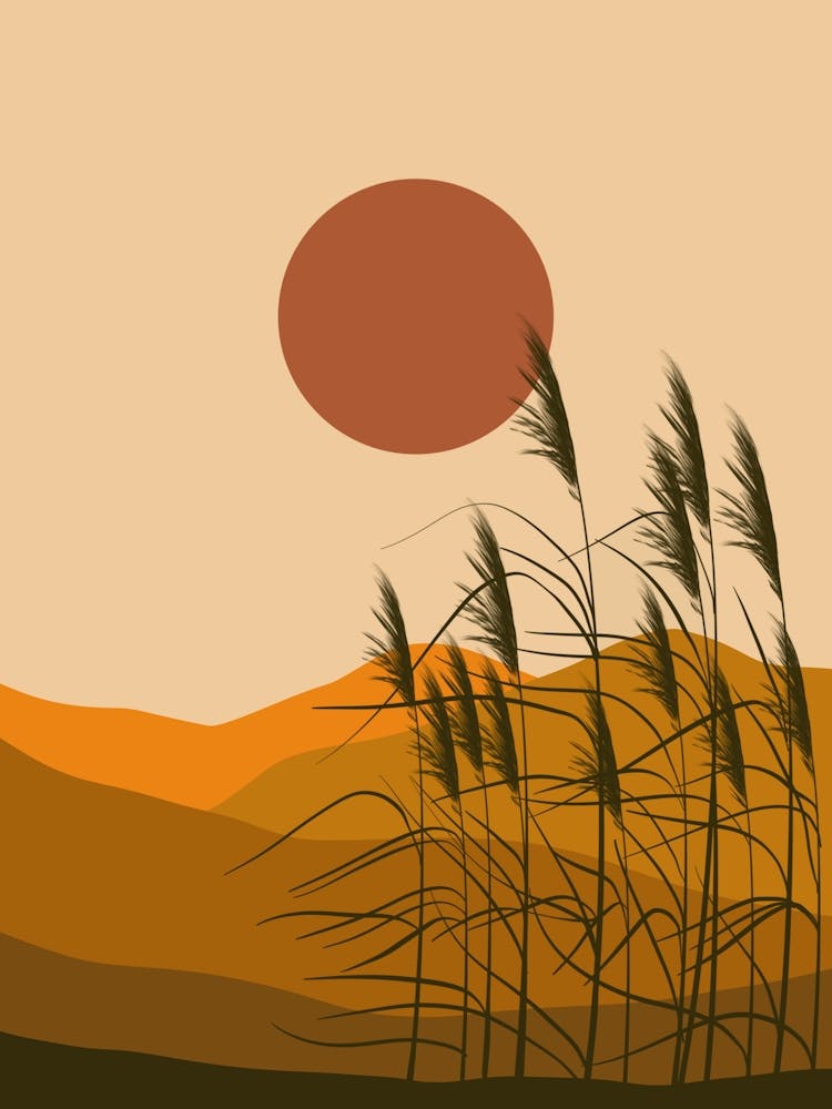 Sunset In The Countryside
