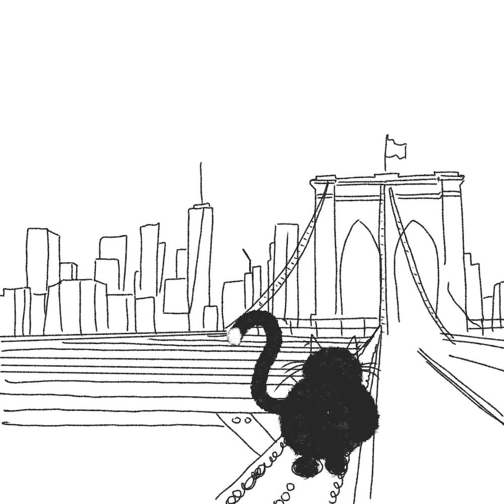 Katzenabenteuer- New York