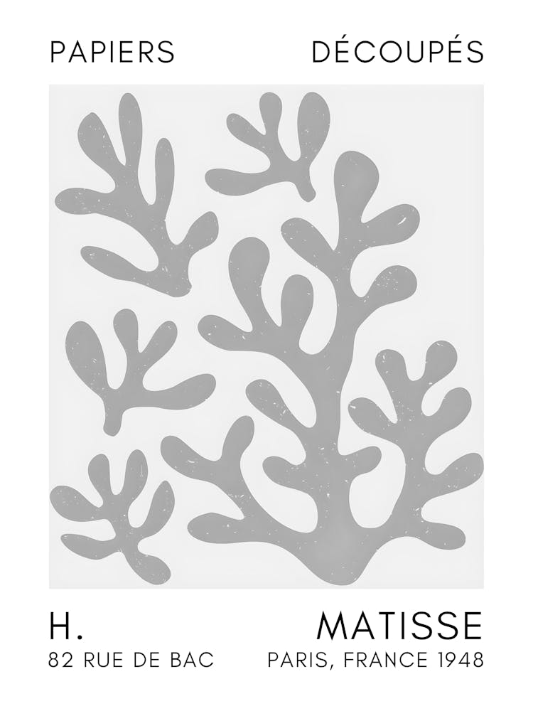 Matisse 48
