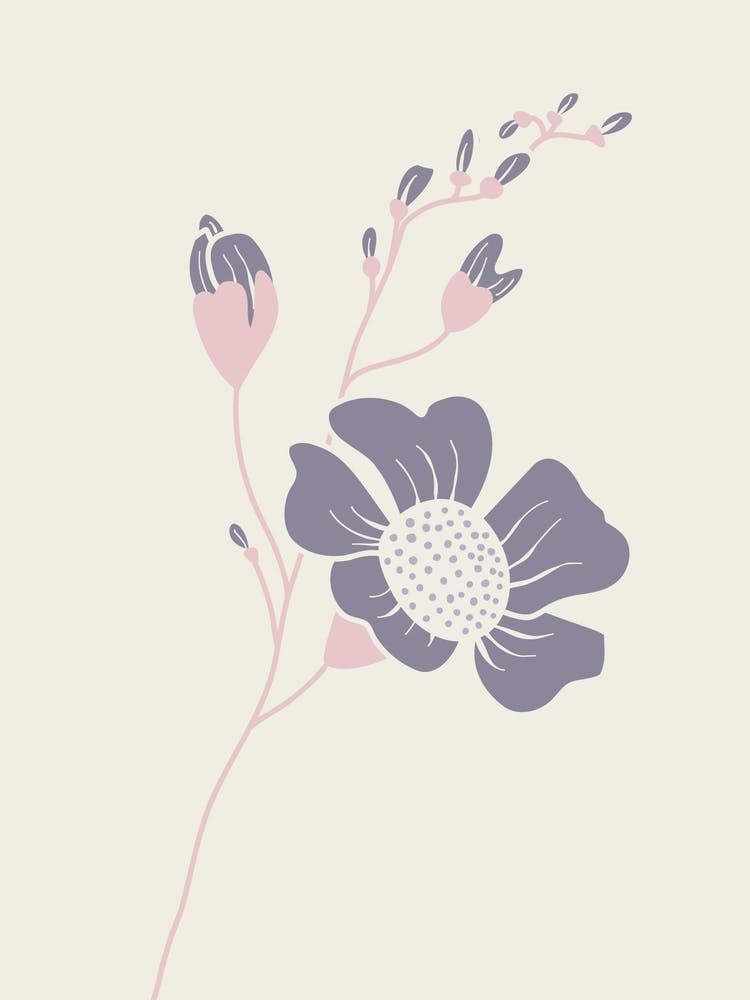 Gentle Flower