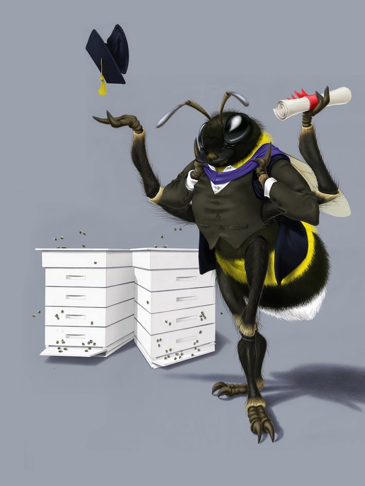 Too Bee or Not Too Bee (colour)