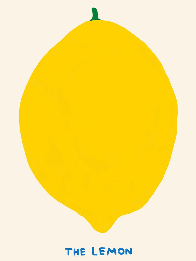 Lemon Food Kitchen Nature