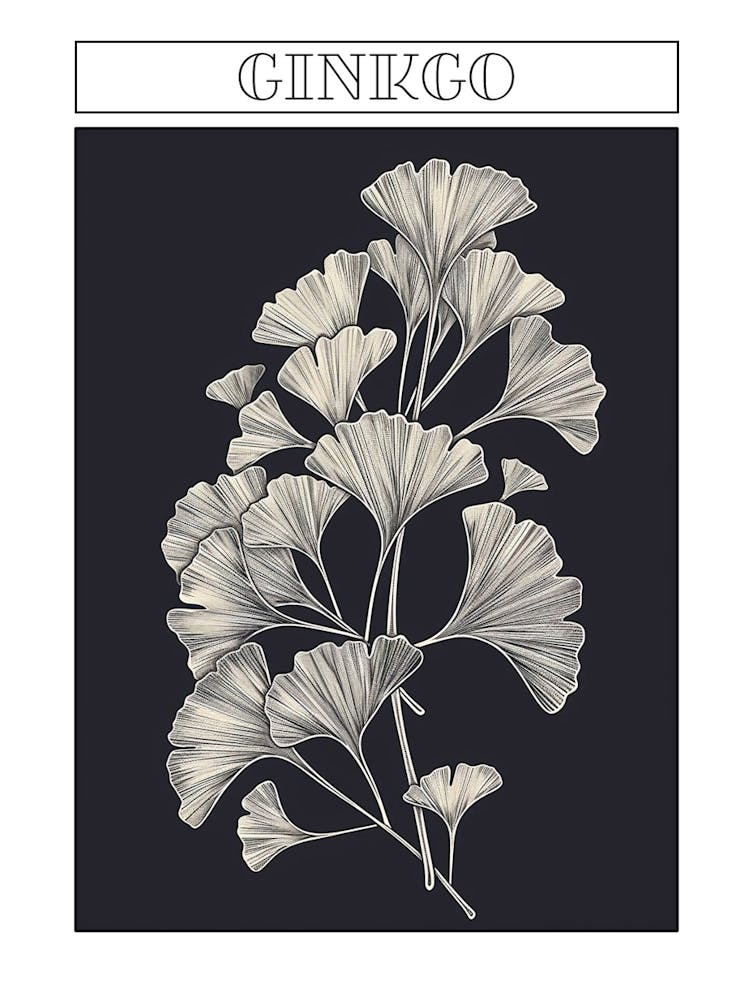 Ginkgo Tree Minimalistic Drawing 3 Poster