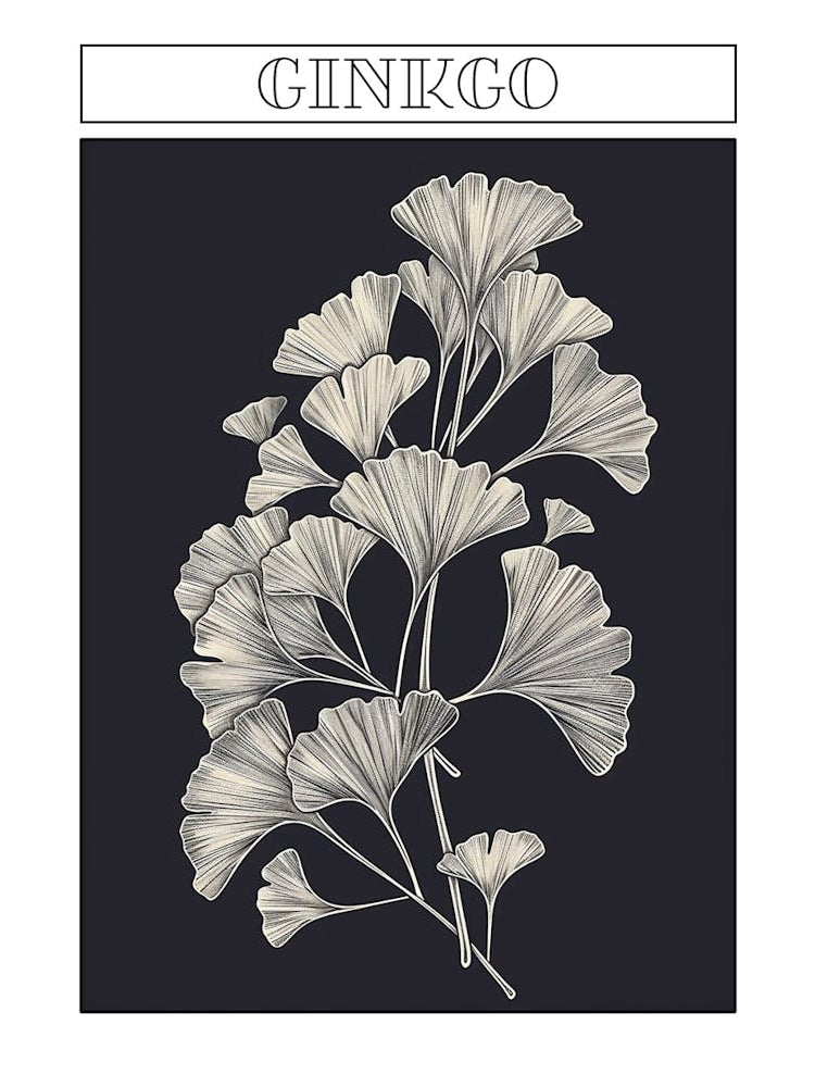 Ginkgo Tree Minimalistic Drawing 3 Poster