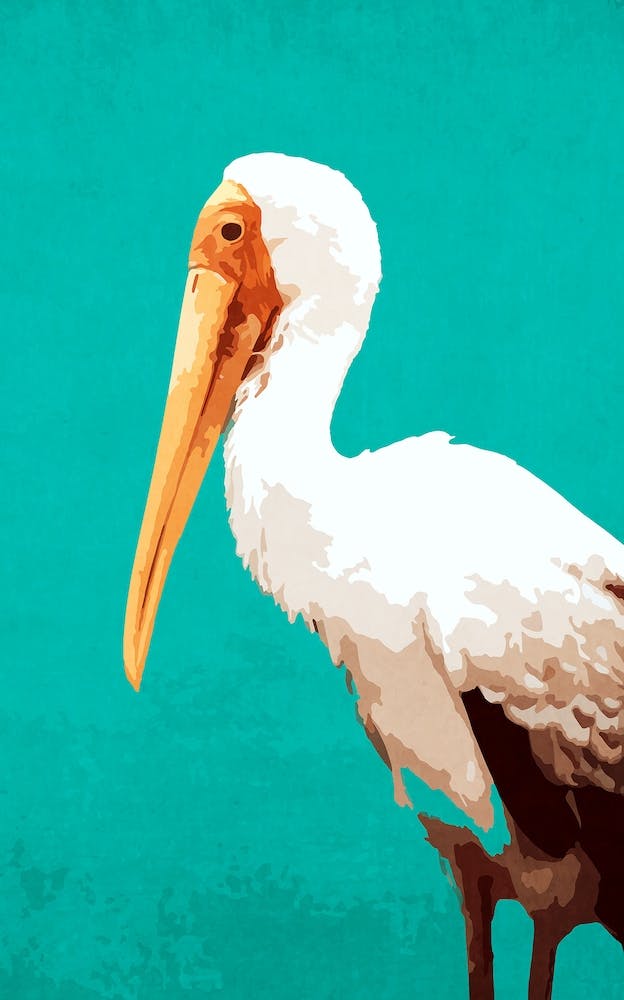 Pelican Teal