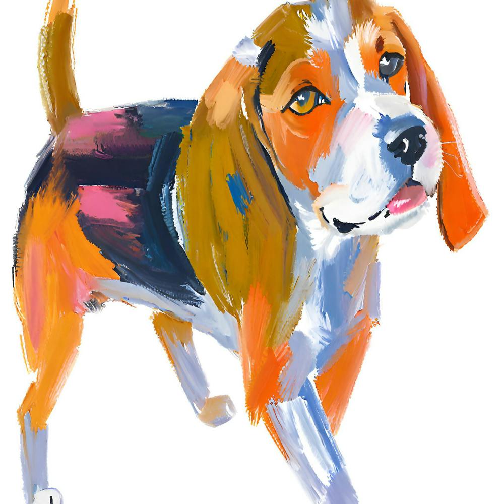 Beagle 01