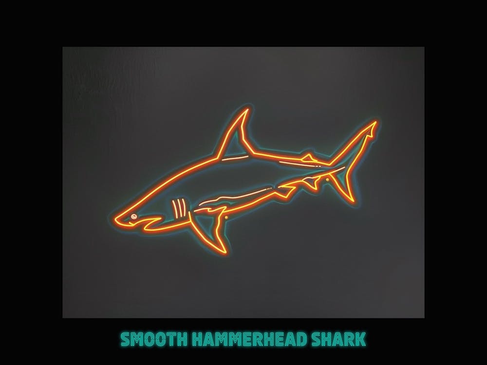 Orange Smooth Hammerhead Neon Shark 6 Poster