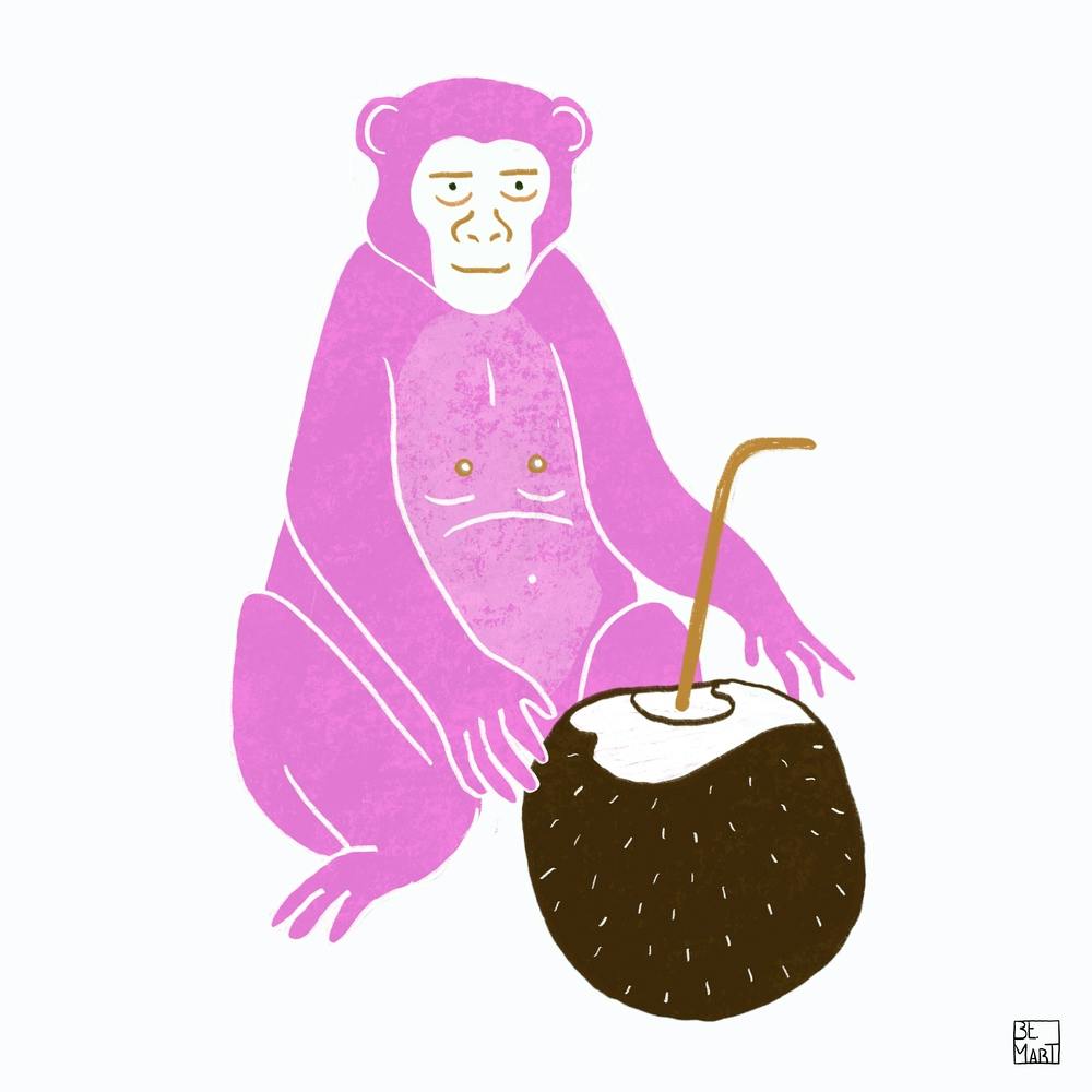 Pink Monkey With Coconut Square