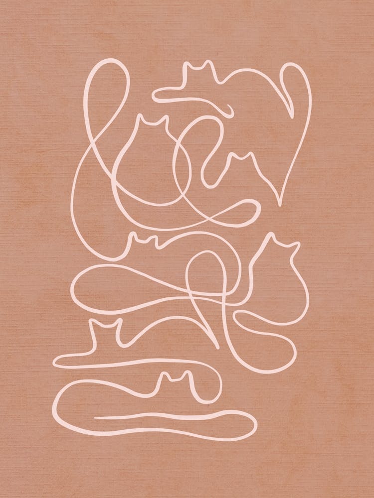 Elegant Boho Cat Line-Art • Dusty Pink on Terracotta