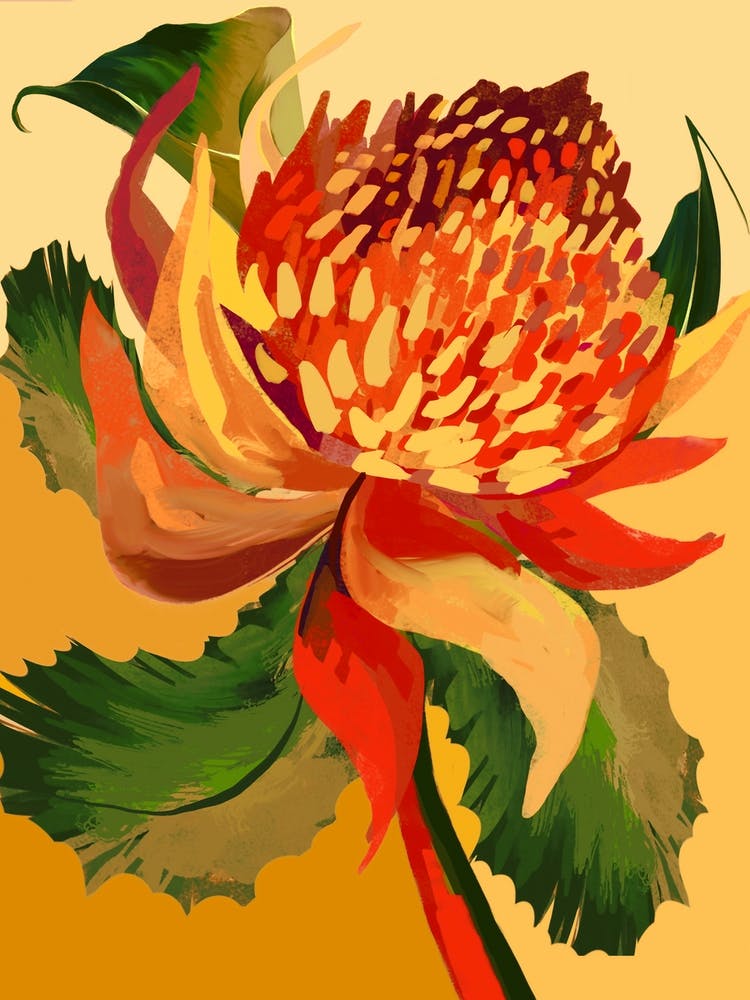 King Protea Abstract