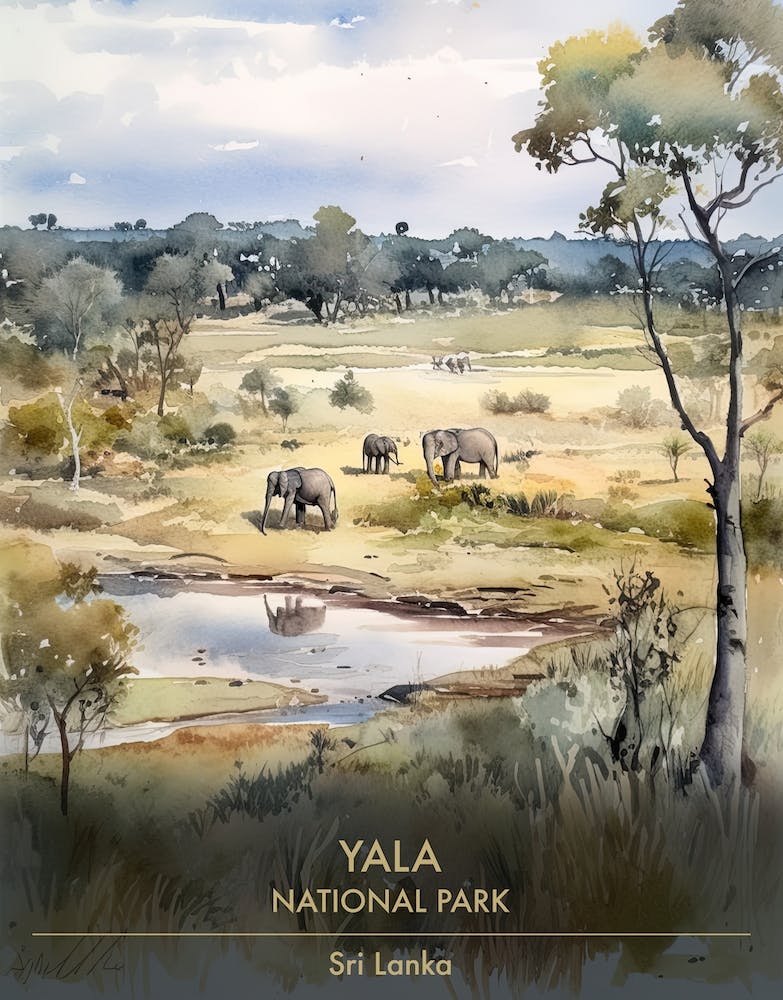 Yala National Park Sri Lanka Watercolour 4