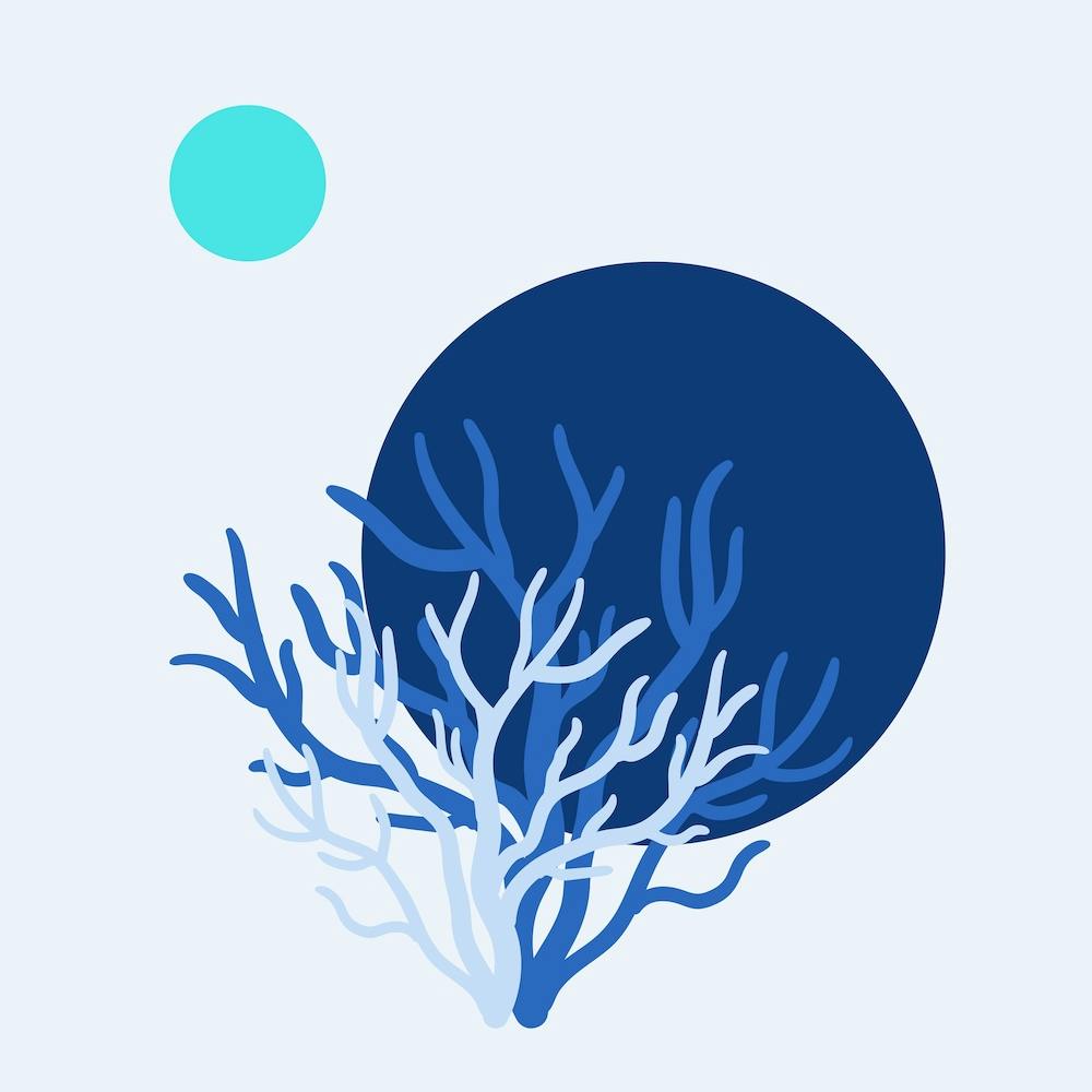 Coral Reef - Deep Blue