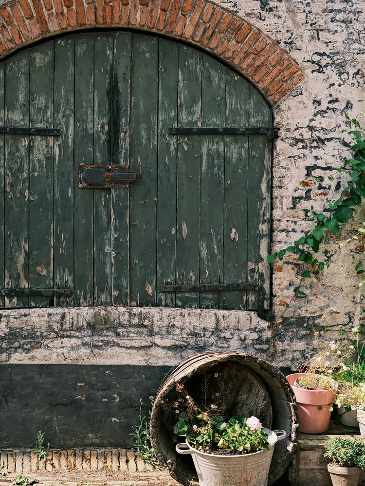 Flowers & an Old Window // The Netherlands // Travel Photography