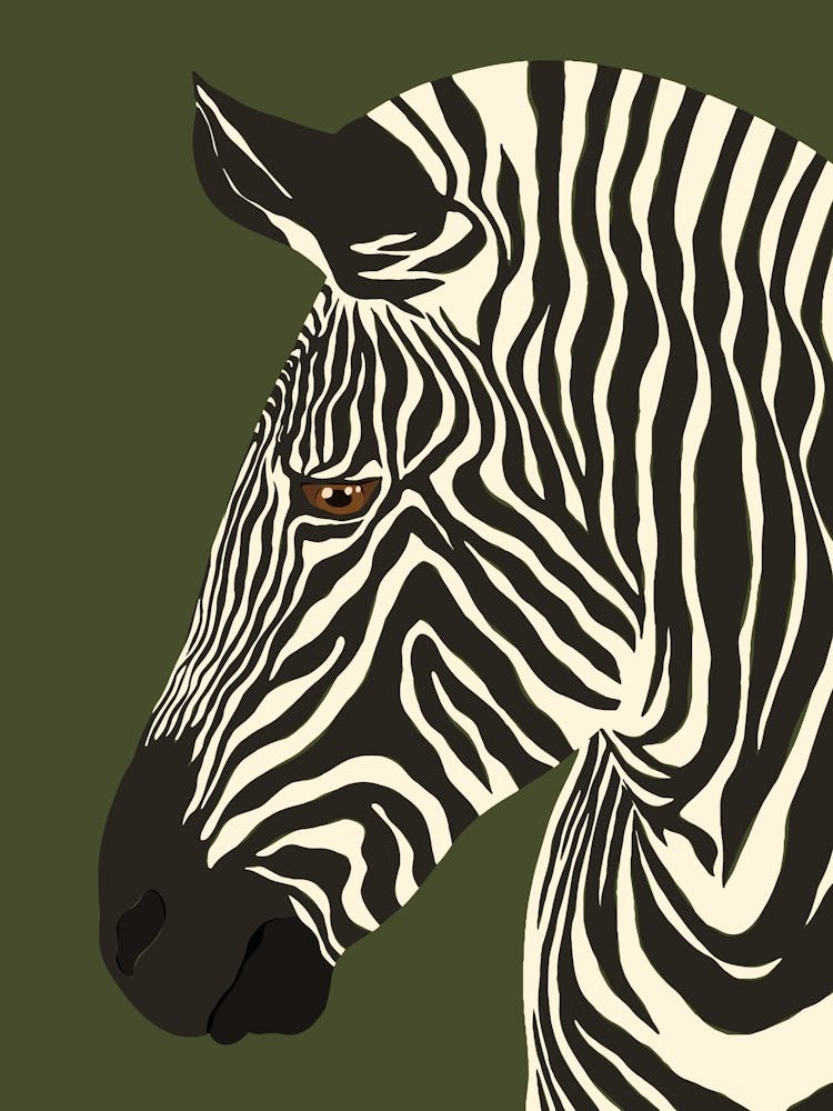 Jungle Safari Zebra on Dark Green