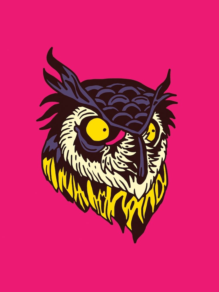 Owl