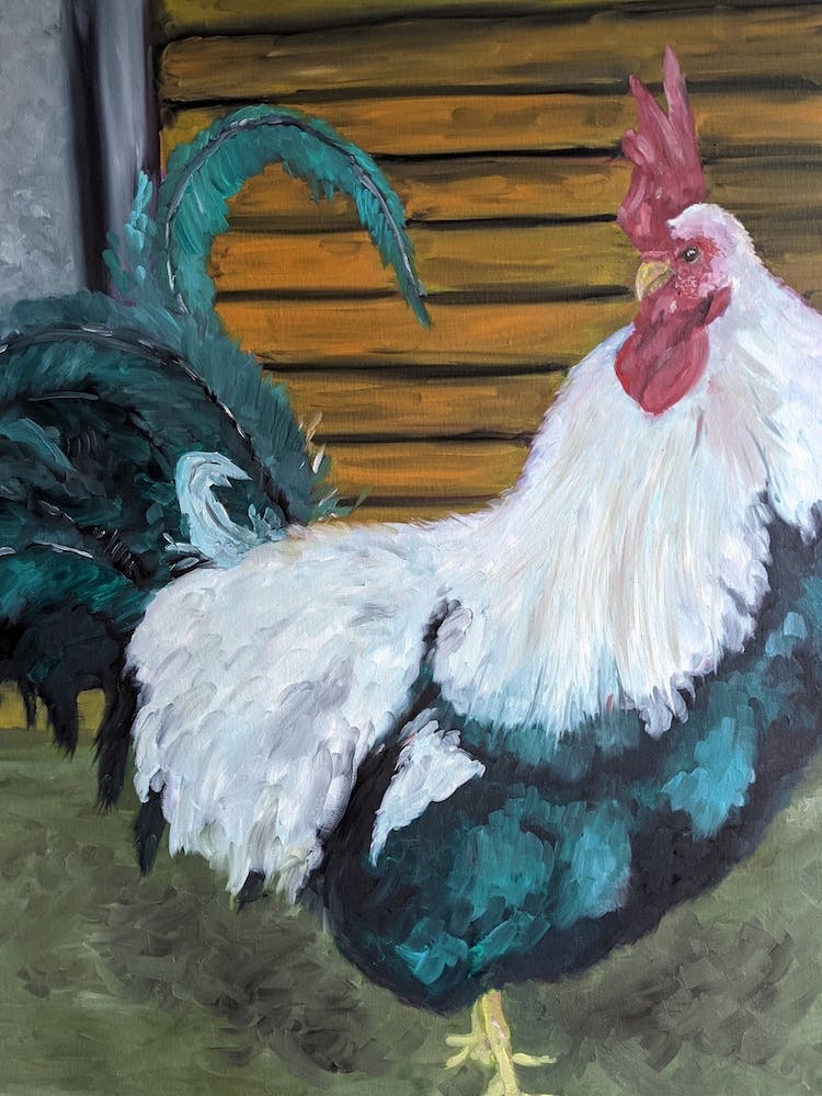 Rooster