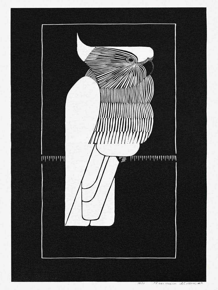 Sulphur Crested Cockatoo (1924), Samuel Jessurun