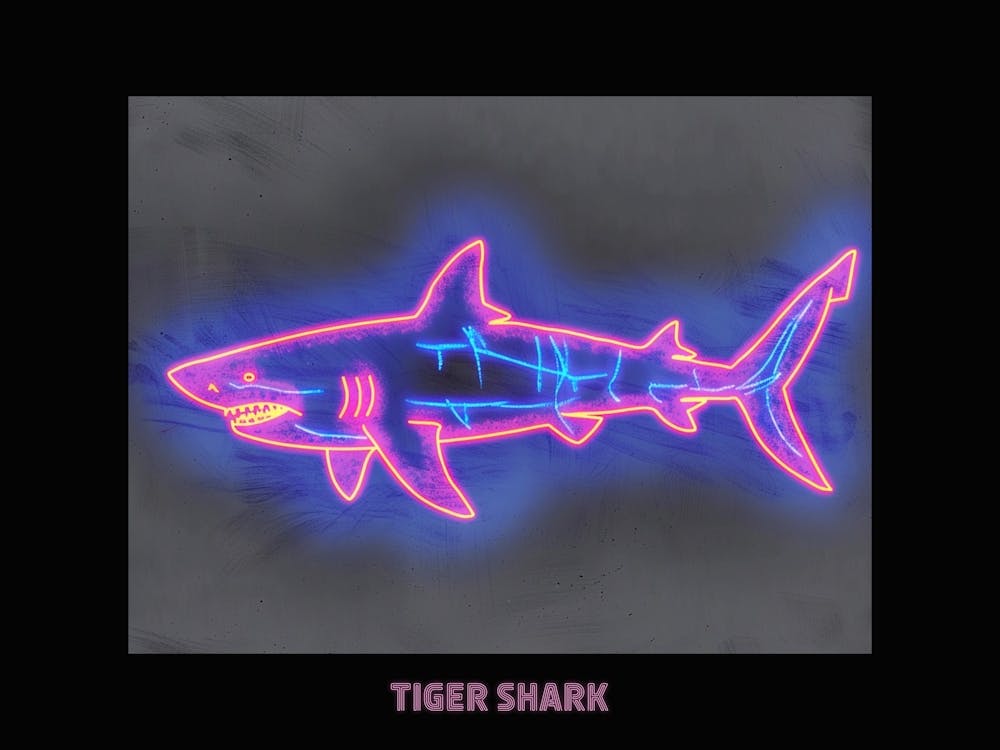 Neon Pink Tiger Shark Poster 1