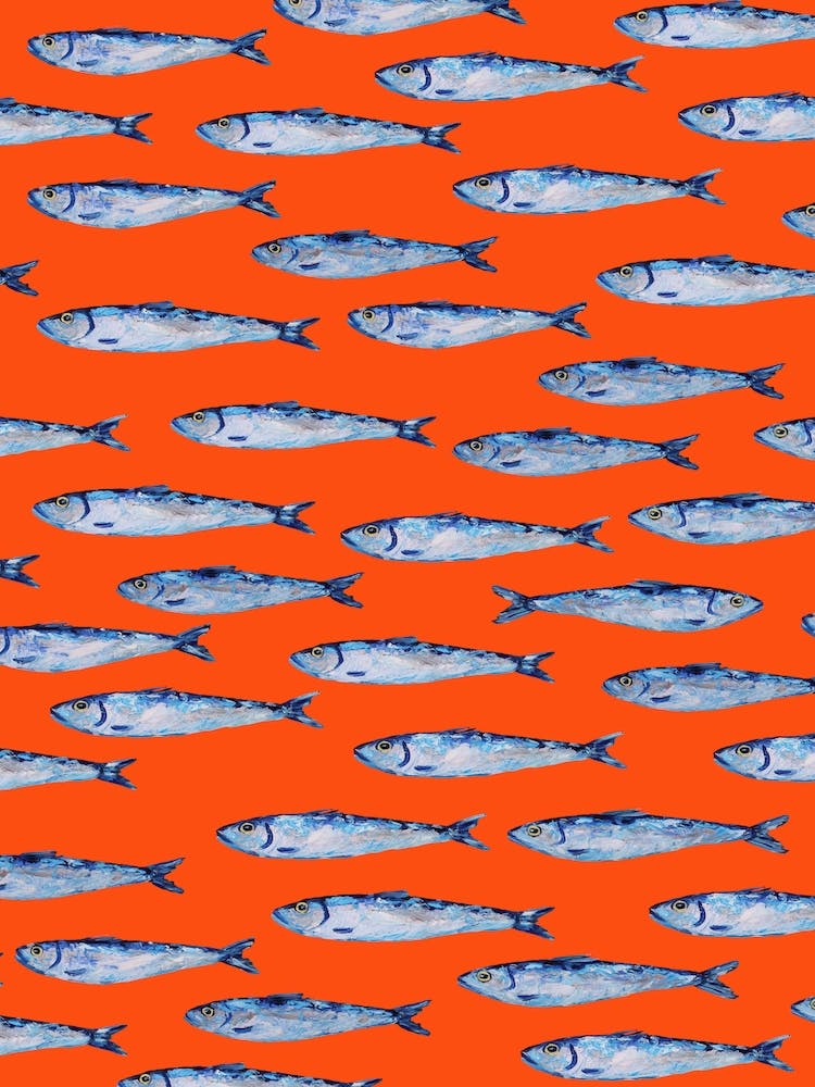 Sardines Swimming
