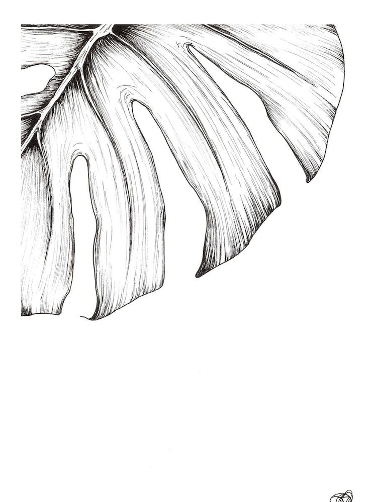 Black and White Monsteria Leaf Centre