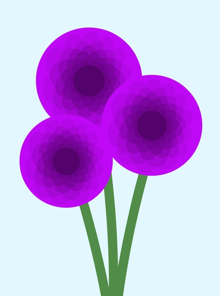 Purple Dahlias