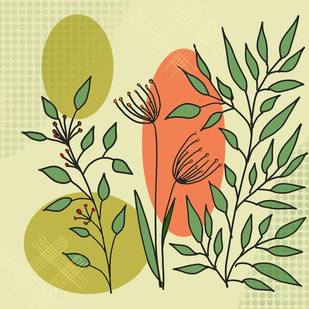 Flower Plant Flora Green Nature Leaves Abstract Floral Background Background Creative Simple