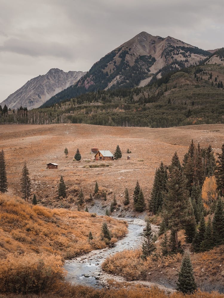 Cabin In Clearing