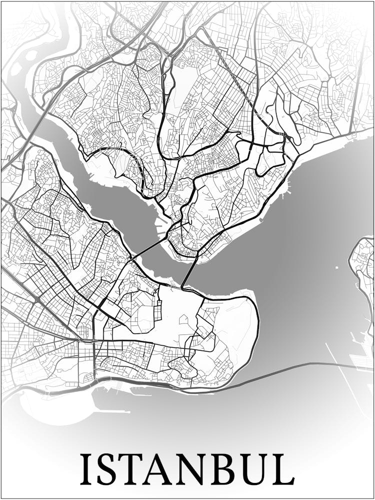 Istanbul, Türkiye, City Map, Black And White Fade Design