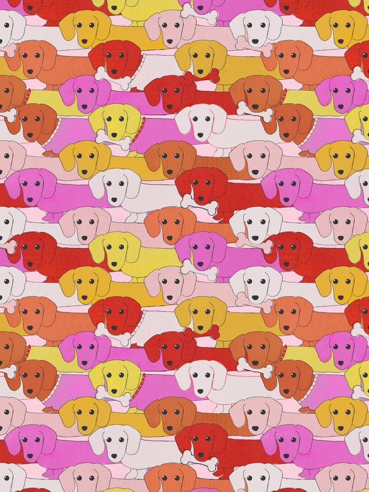 Dachshund Pattern In Pink