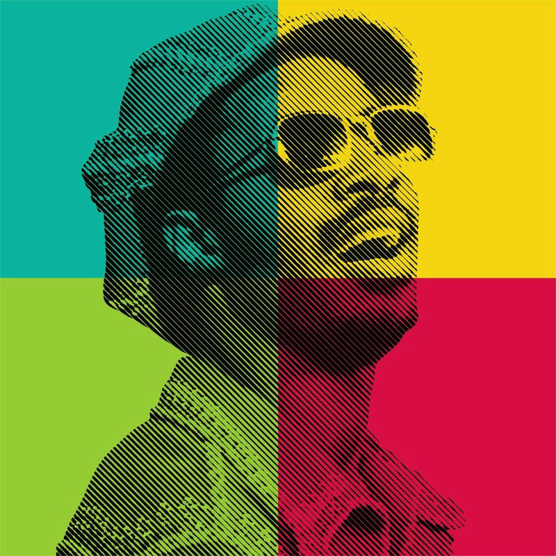 Stevie Wonder Musician