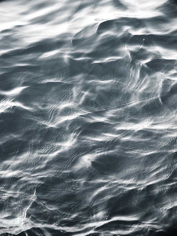 Sea Vibe 2