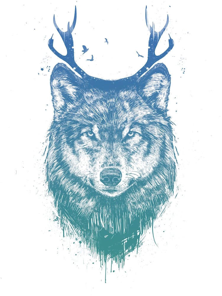 Deer Wolf