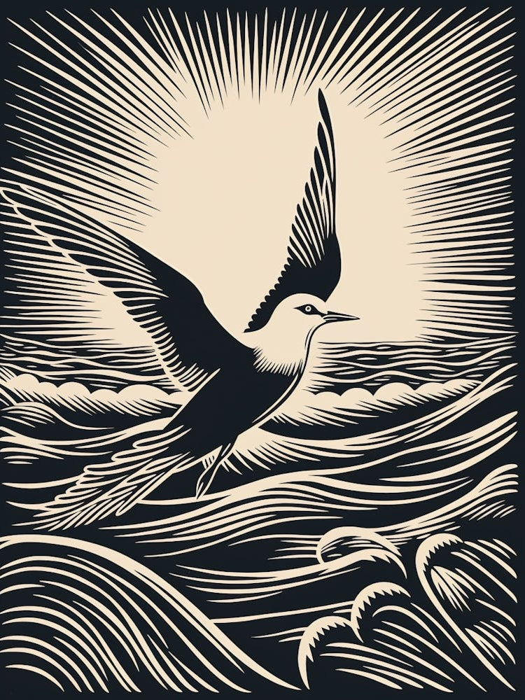 B&W Bird Linocut Common Tern 4
