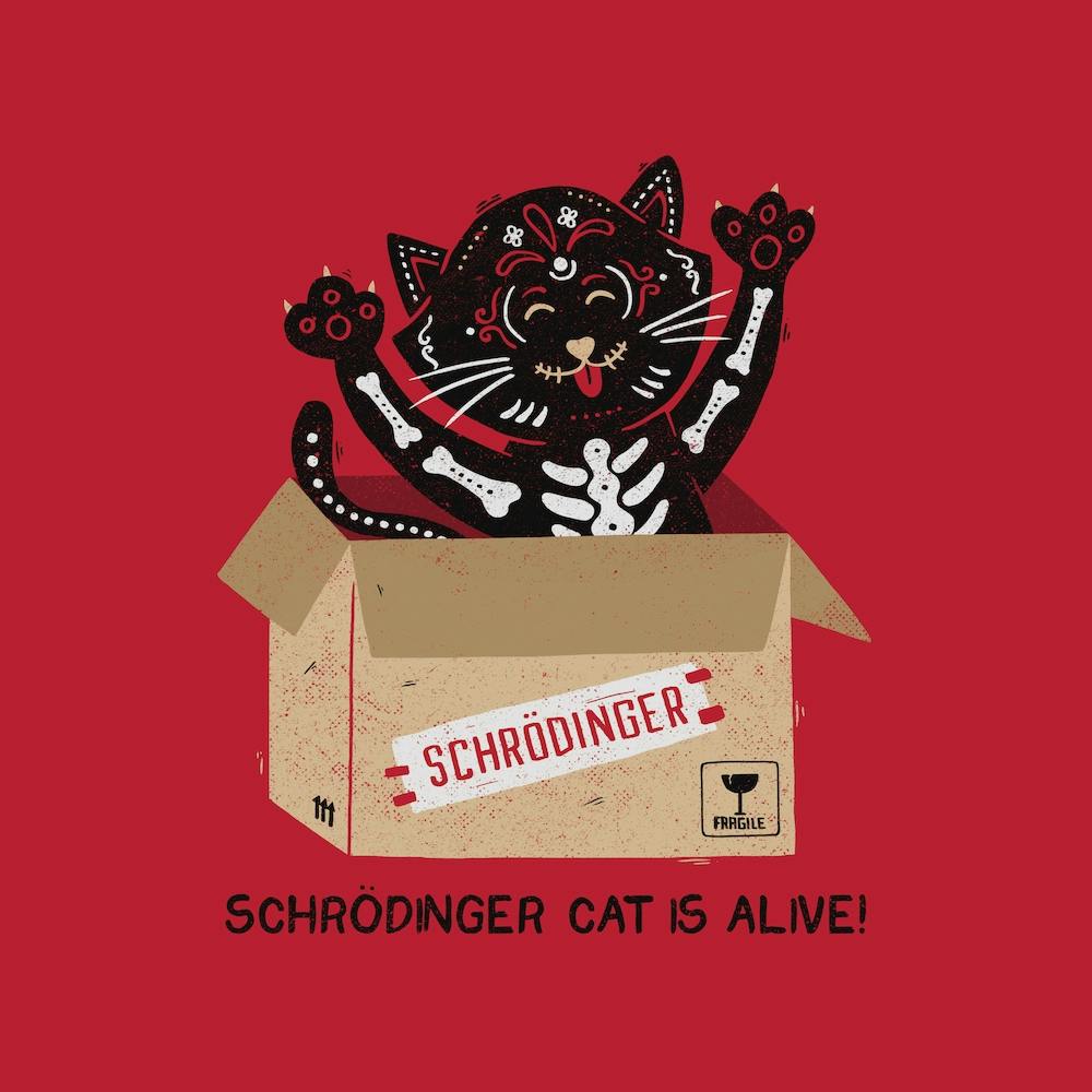 Am I Alive Schrodinger Cat﻿ Square