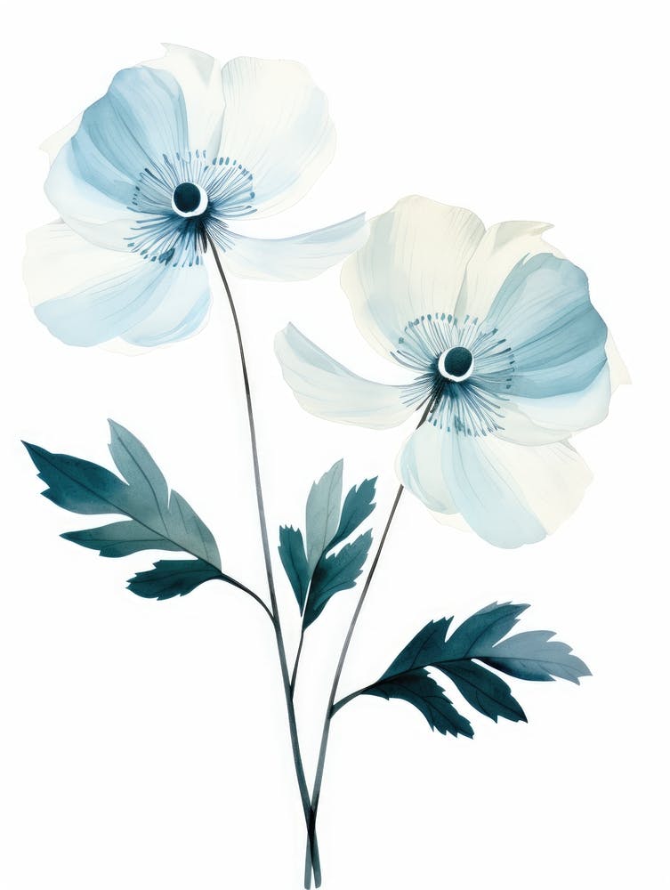Blue And White Flowers