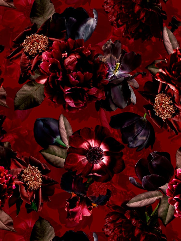 Mystic Night Real Flower Garden