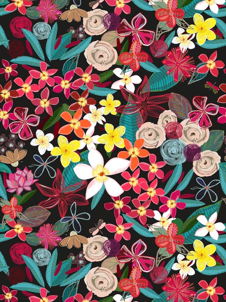 Frangipani Colorful Flowers